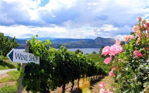 Best Okanagan Wineries As Recommended By A Local