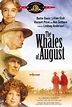 Sección visual de Las ballenas de agosto - FilmAffinity