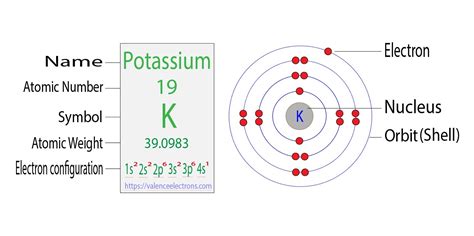 Electron Schematic Electron Configuration Of Potassium My XXX Hot Girl
