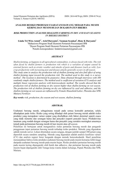 PDF Analisis Resiko Produksi Usahatani Bawang Merah Pada Musim Kering