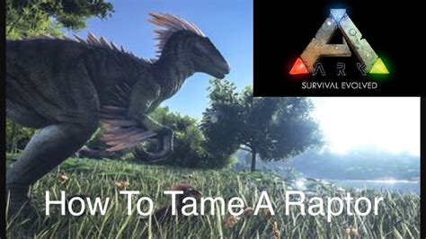 Top 10 easiest carnivores to tame in ark survival evolved!! Ark Survival Evolved: How to Tame a Raptor - YouTube