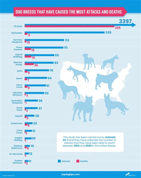 Us Statistics On Dog Bites 2021 19 Breeds Compared