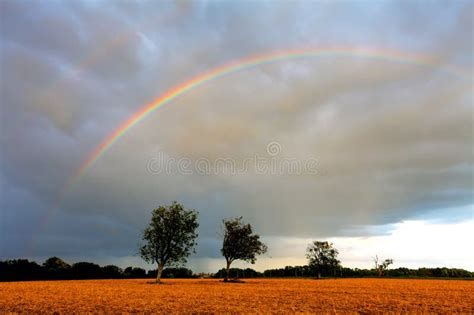 Rainbow Over Field Stock Photo Image Of Land Field 43797266