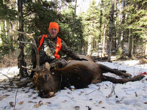 Colorado Over The Counter Otc Unit Elk Hunting Problems