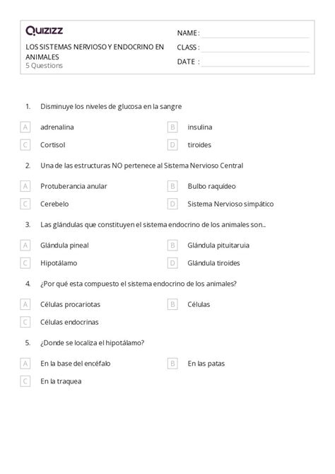 Los Sistemas Nervioso Y Endocrino Hojas De Trabajo Para Grado En