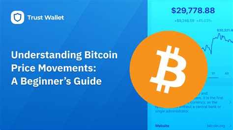 Understanding Major Bitcoin Price Movements A Beginners Guide Trust