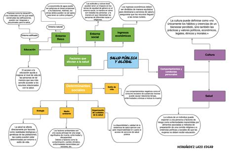 A 2hle Mapa Conceptual Salud Pública Y Global Factores Que Afectan A La Salud Determinantes