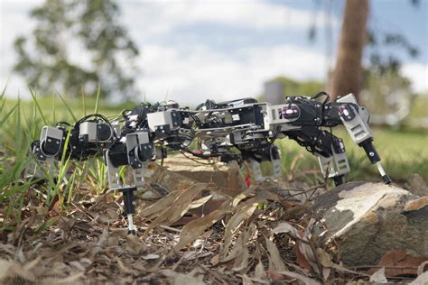 Rescuebot Legged Robots With Compliant Joints Csiro Robotics