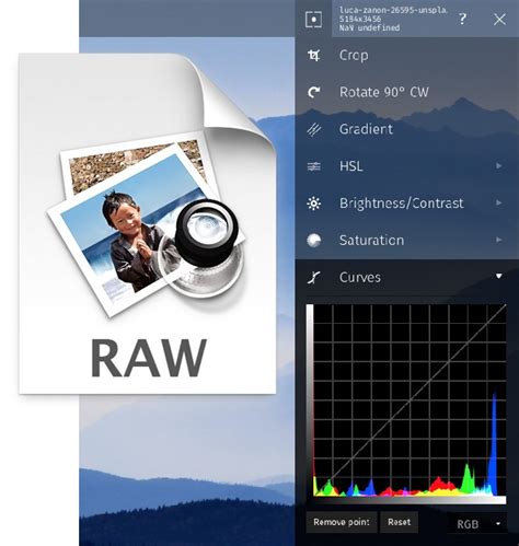 Jpeg is a commonly used method of lossy compression for digital images, particularly for those images produced by digital photography. Convert RAW to JPG online with Raw.pics.io RAW free ...