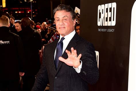 Sylvester Stallone Denies Reports He Was Accused Of Sexually Assaulting