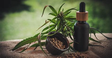 Why Cbd Is A Popular And Safe Choice For Pain Relief We Are The