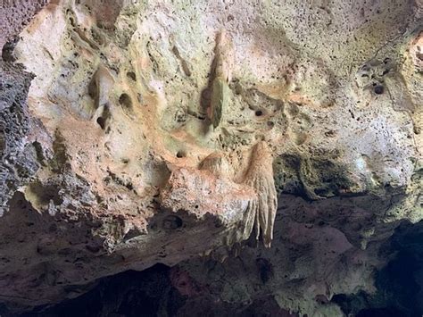 Guadirikiri Caves Ce Quil Faut Savoir Pour Votre Visite à Parc