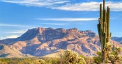 Sonora-Wüste 2020: Top 10 Touren & Aktivitäten (mit Fotos) - Erlebnisse ...