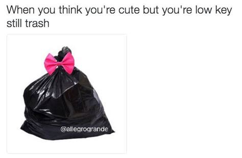 25 Pictures That Will Make Garbage People Say Me Af Memes In Real Life Funny Memes Trash Meme