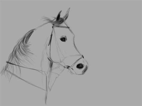 Heb je altijd al zelf een paard willen leren tekenen? Paarden Na Tekenen Makkelijk / Paarden Leren Tekenen ...
