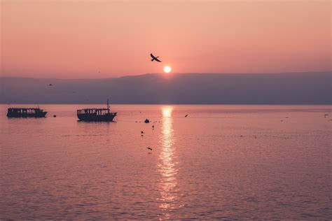 Plot near the sea of galilee bedrooms: Sea Of Galilee, Israel Pictures | Download Free Images on ...