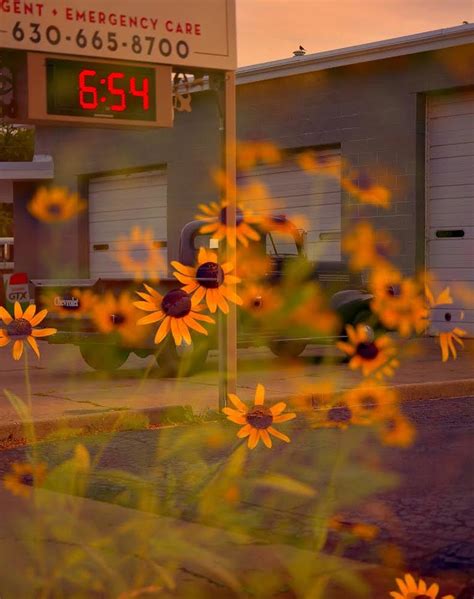 Natural light fine art photographer based in los angeles, providing prop styling, art direction, creative consulting, with a focus on small businesses. Poetic Photography By Thomas Jordan | Poetic photography ...