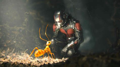 Ant Man Superhero Action Marvel Disney Comics Ant Man