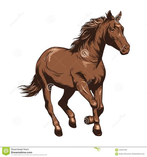 Ejemplo Del Vector Del Caballo Caballo Racing Caballo Del Dibujo En