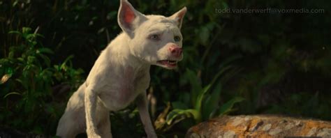 These days, you can't just hand your children the remote and let them choose a channel. Netflix's Mowgli: Legend of the Jungle review ...