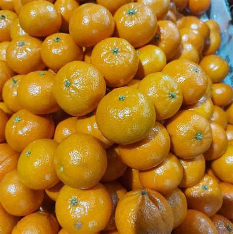 Sweet Orange Kiat Kiat Kiatkiat Order Price Kilo Farm2metro