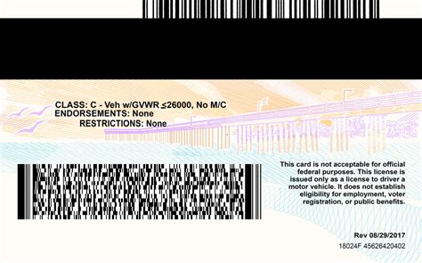 California Ca Drivers License Psd Template Download V2 2022