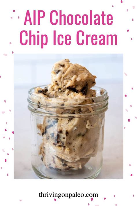 3 Easy And Delicious Dairy Free Ice Creams Paleo And AIP Recipe