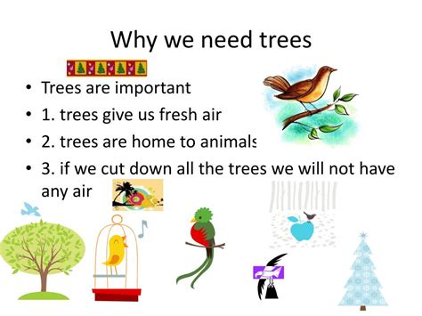 Ppt Save The Trees Powerpoint Presentation Free Download Id2749510