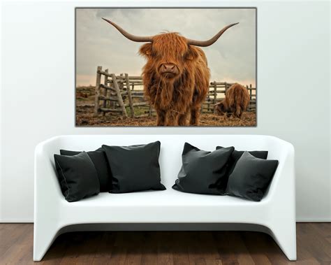 Highland Cow Wall Art Highland Cow Canvas Wall Art Canvas Etsy