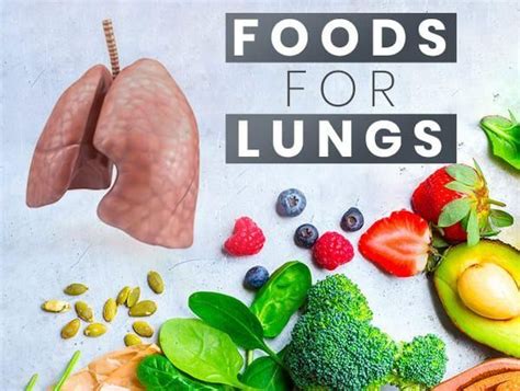 In general, aim for a variety of foods from each food group to keep your lungs happy. 10 Best Foods To Keep Your Lungs Healthy in 2020 | Chronic ...