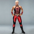 Wrestlemania 34 Ring Gear ~ Dana Brooke - WWE Photo (41286034) - Fanpop