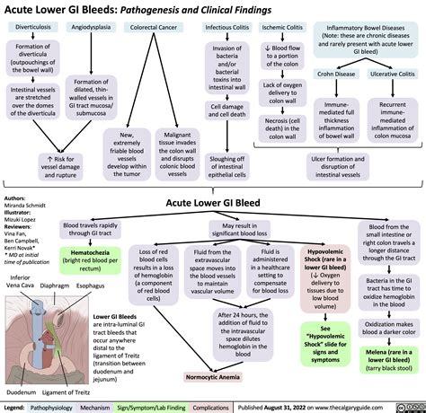 Hypovolemic Shock Pathogenesis Complications And Clin