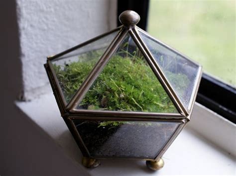 How to Make a Terrarium | Low maintenance plants, Moss ...