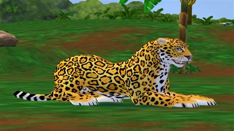 Jaguar Zoo Tycoon 2 Wikia Fandom