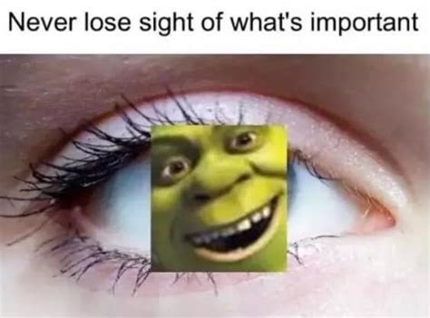 Avert Your Wholesome Eyes Shrek Memes Shrek Funny Memes