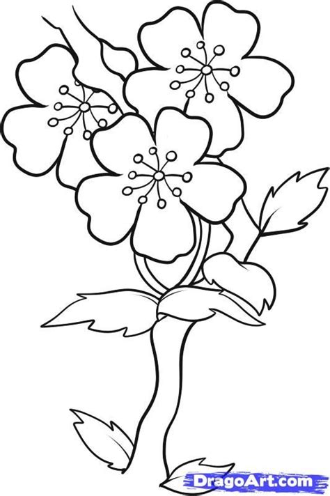 533x801 easy to draw cherry blossoms how to draw blossoms step 7. Pin on For details