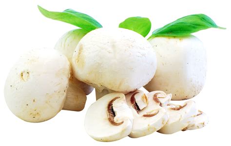 Sewing Hacks Png Images Stuffed Mushrooms Fresh Vegetables