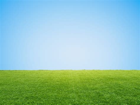 Premium Photo Green Grass Or Turf On Blue Sky Background