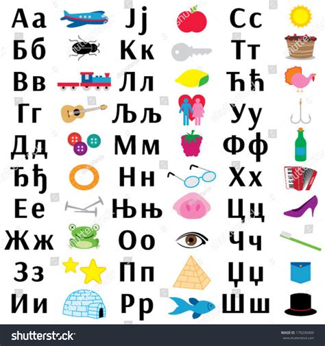 Serbian Cyrillic Letters Chart Royalty Free Stock Vector 170290409