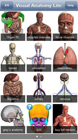 Freetrainers.com has a vast selection of exercises which are used throughout our workout plans. Visual Anatomy: learn the names of muscles, bones, organs ...