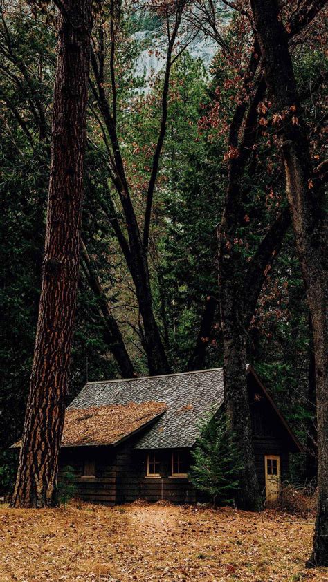 Pin By Isabella Gonzales On Wallpaper Forest House Cabins In The