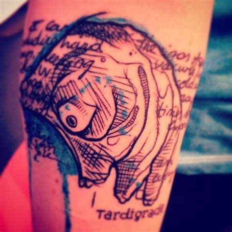 Pin By Kimberley Davison On Tattoos Biology Tattoo Tardigrade Tattoos