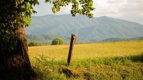 Cades Cove Hours Everything You Need To Know Brooke In Boots