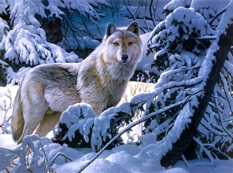 Wolf In Winter