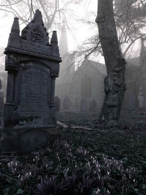 I Love Gothic ╋ Cemeteries Photography Scary Places