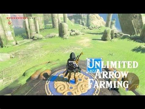 Maybe you would like to learn more about one of these? BoTW ~800 Arrows in 30 Minutes! Unlimited Arrow Farming!! : zelda