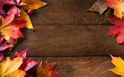 Autumn Background Images ·① Wallpapertag