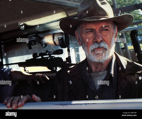 Razorback kampfkoloss der holle High Resolution Stock Photography and