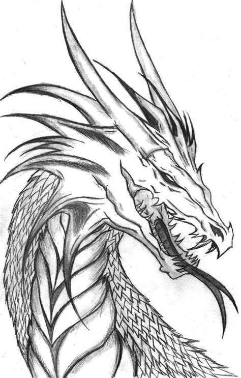 Free Printable Adult Dragon Coloring Pages Coloring Home