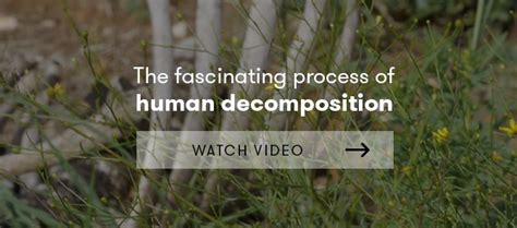 Deadly Secrets—the Science Of Decomposition Curious